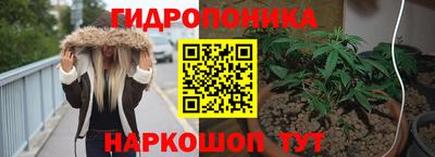 гидра Гусь-Хрустальный